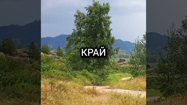 С картинкой, гифкой