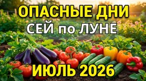 Лунный посевной календарь на июль 2026: благоприятные и опасные даты для огородника