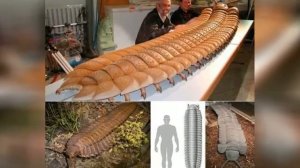 МЫ ДОЛЖНЫ ЖИТЬ 1000 ЛЕТ. Кто Укоротил Жизнь Человеку и Заблокировал нашу ДНК