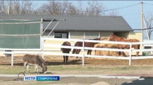 На Ставрополье расширяют сеть глэмпингов