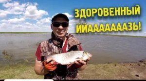Убойная ловля крупного язя на фидер Язь - рыба моей мечты Рыбалка на реке