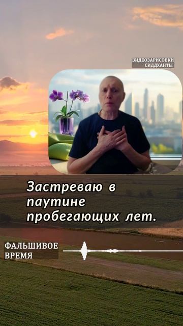 Фальшивое время. Аудиокниги Сиддханты (Вячеслава Чернина)