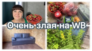 Злая на WB. Купили диван на дачу. Первый урожай клубники.