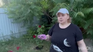 С КОРАБЛЯ, ДА НА БАЛ🤷♀️👍/НАШУРШАЛА  В ОГОРОДЕ  ДО УПАДА🤷♀️/жизнь здесь и сейчас ✅❤️❤️❤️