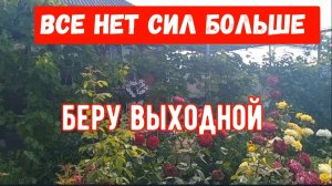 292🏡Собираю заказы/Посадила клубнику/Готовлю перчик/Беру выходной