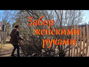 Новости лесного хутора. Продолжаю делать забор.