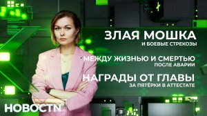 НОВОСТИ от 26.06.26 Нижневартовск