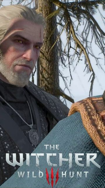 ОН ПОЯВИТСЯ! Заметит ли Эйвинд Солнечный камень. The Witcher 3 - Wild Hunt #shorts