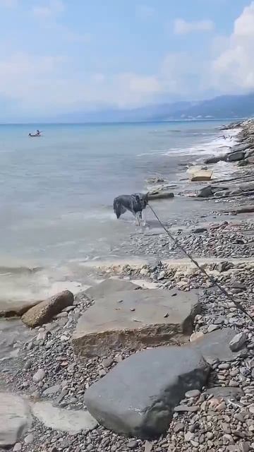 Арта смотреть онлайн