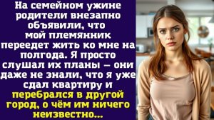 На семейном ужине родители внезапно объявили, что мой племянник переедет жить ко мне на полгода