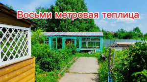 Жарю беляши) В посёлке праздник) Про теплицу