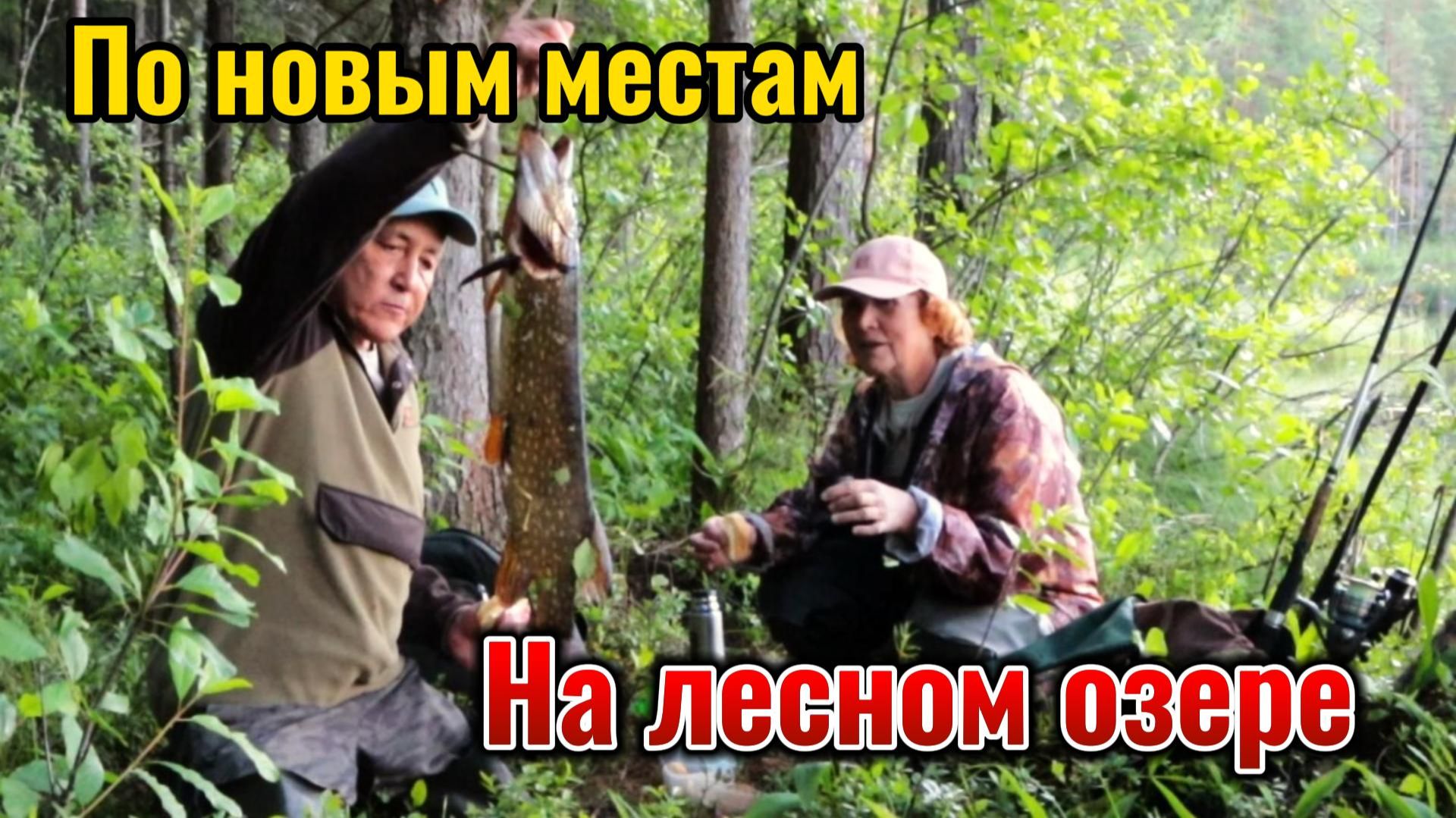 Поплавочная удочка