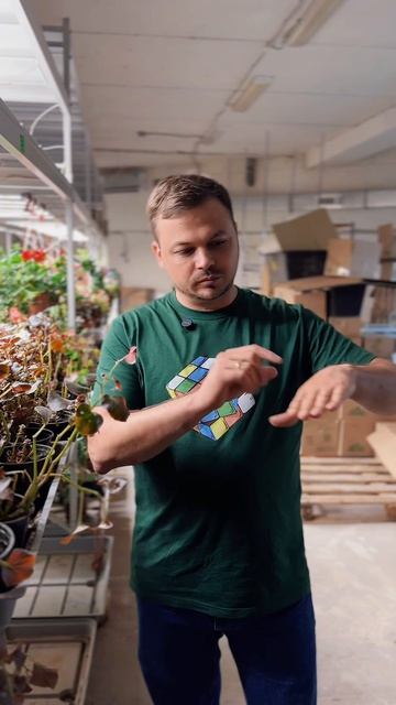 🌱 Повторное использование субстрата: экономия или риск?