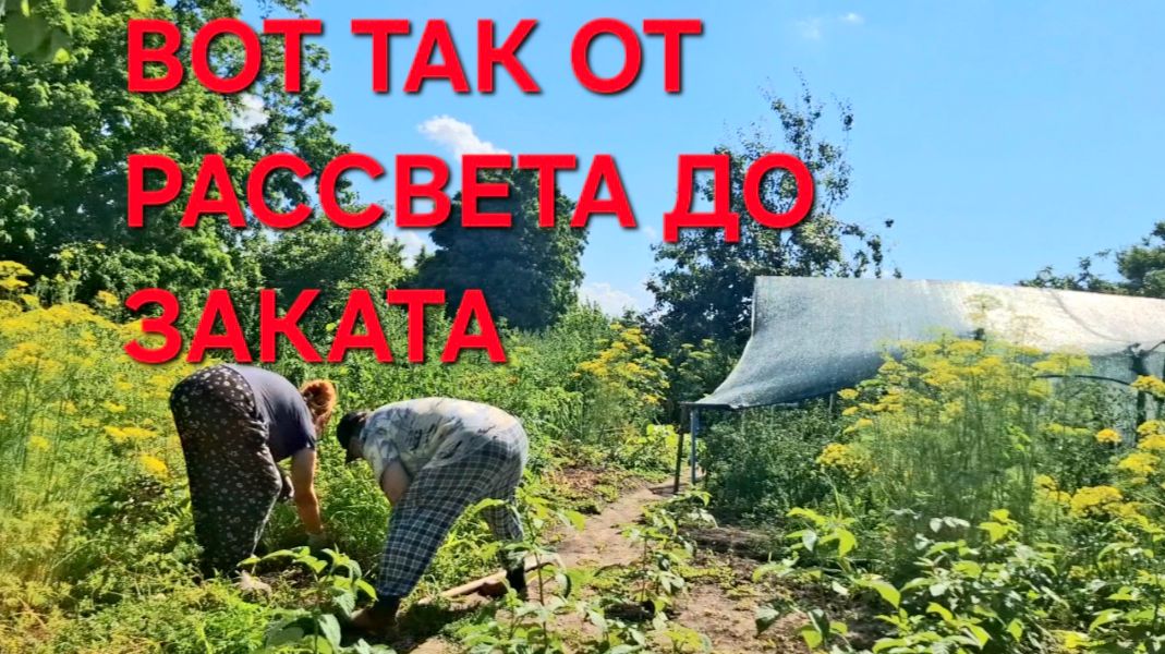 1325 Вот так от Рассвета до заката.Готовим огород для теплиц. Городские в Станице. смотреть онлайн