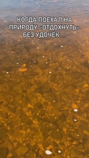 Рыбалка🤣🤣🤣🤣🤣