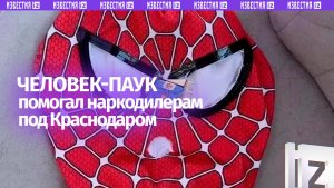 «Человека-паука», специализировавшегося на наркограффити, задержали в Красноярске