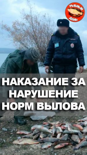 НАКАЗАНИЕ ЗА НАРУШЕНИЕ НОРМ ВЫЛОВА