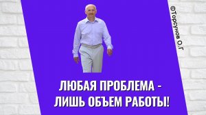Любая проблема - лишь объем работы! Торсунов лекции