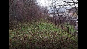 Немецкая узкоколейка в районе Льнозавода Вешки Угранского района