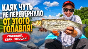 РЫБАЛКА СПЛАВОМ СО СПИННИНГОМ - ПРОСТО И КЛЁВО!