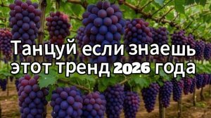 Танцуй если знаешь этот тренд 2026 года