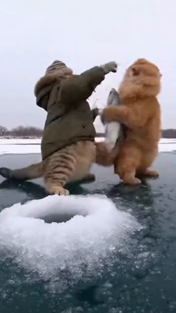 Вор    крадет рыбку