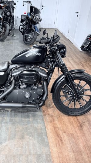 + 2013 HD Sportster Forty-Eight 883 Black Denim 37K (VIN 5HD***7337)