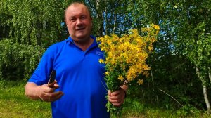 Дорожные моменты. Вот такая красивая природа где-то под Пермью
