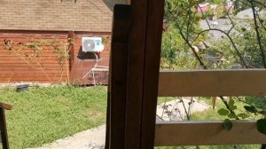 СОЧИ ГОРНОЕ ЛОО ВЕЧЕР 29.06.2026