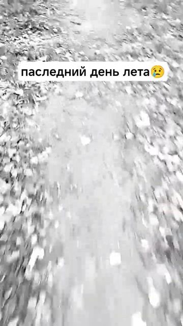 последний день лета #лето #последнийденьлета #школа #август #грустно #жалко #шорст #мем #тикток