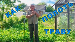 Как полоть сорняки тяпкой? Как убирать тяпкой сорняки?  Прополка картошки.