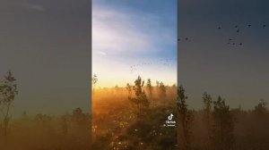 для души