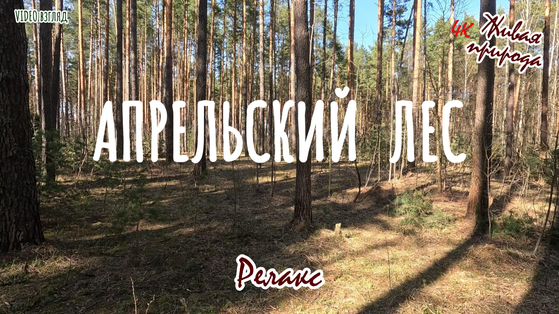 Апрельский лес смотреть онлайн