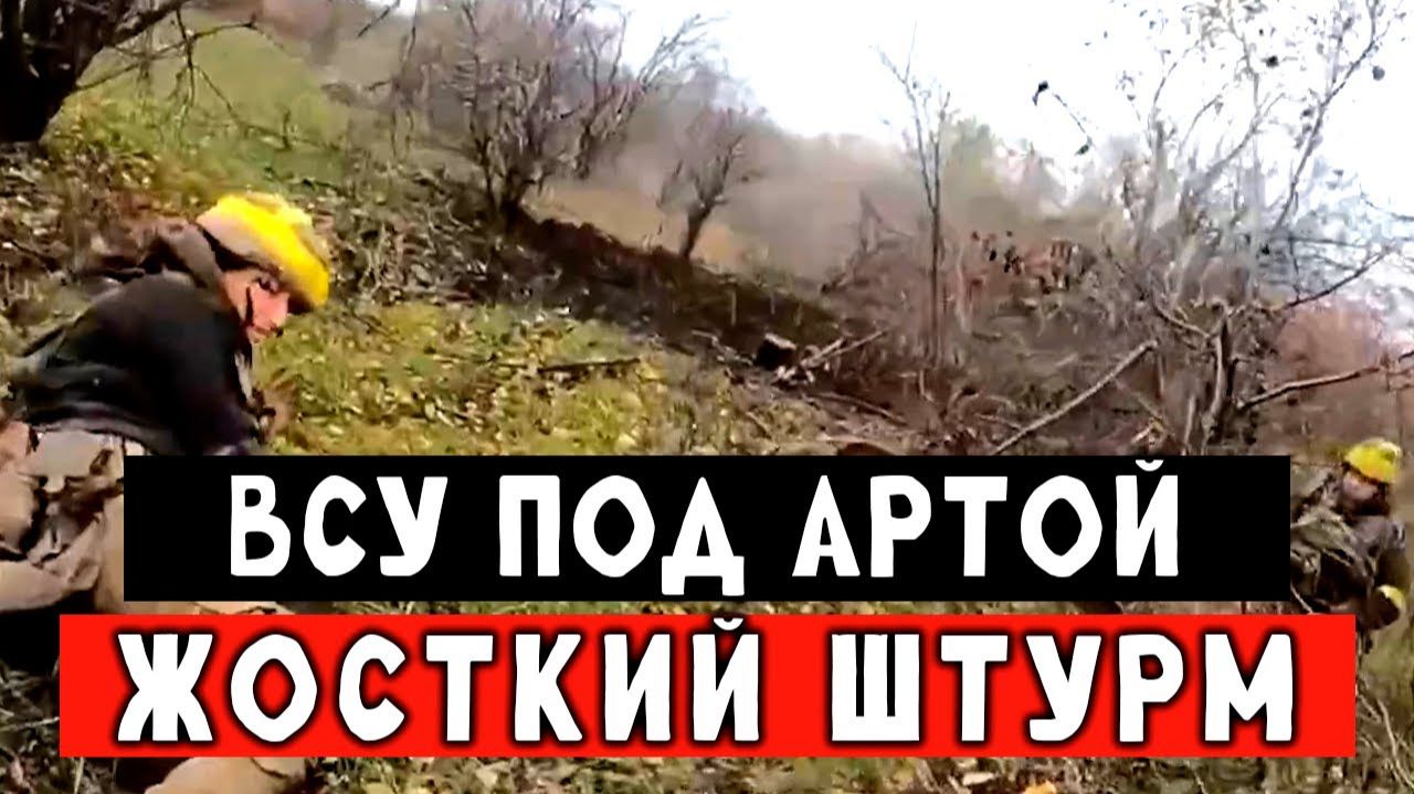 ВСУ попали под артиллерию. Пришлось бросать боевую задачу и бежать обратно смотреть онлайн