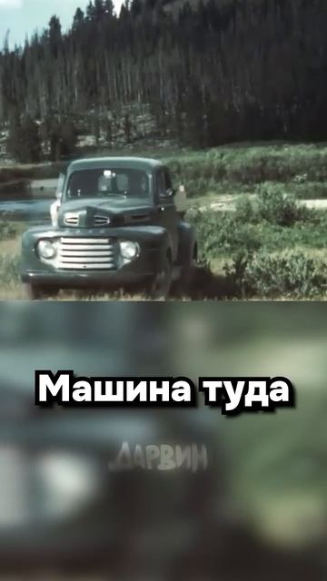 29-06-2026 смотреть онлайн