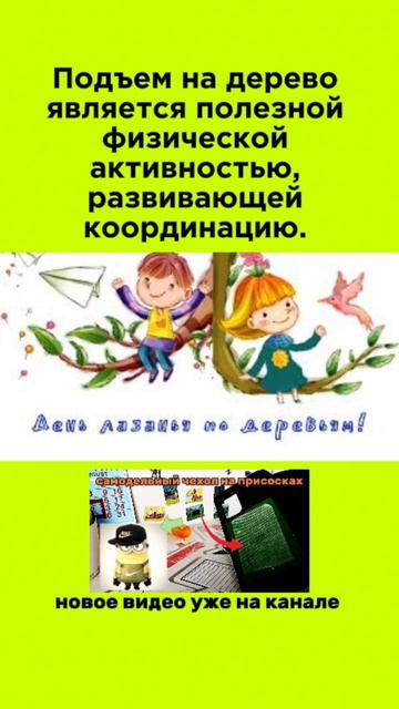 день лазанья по деревьям | праздник каждый день #праздник #шортс #дерево #лазаньеподеревьям #детство