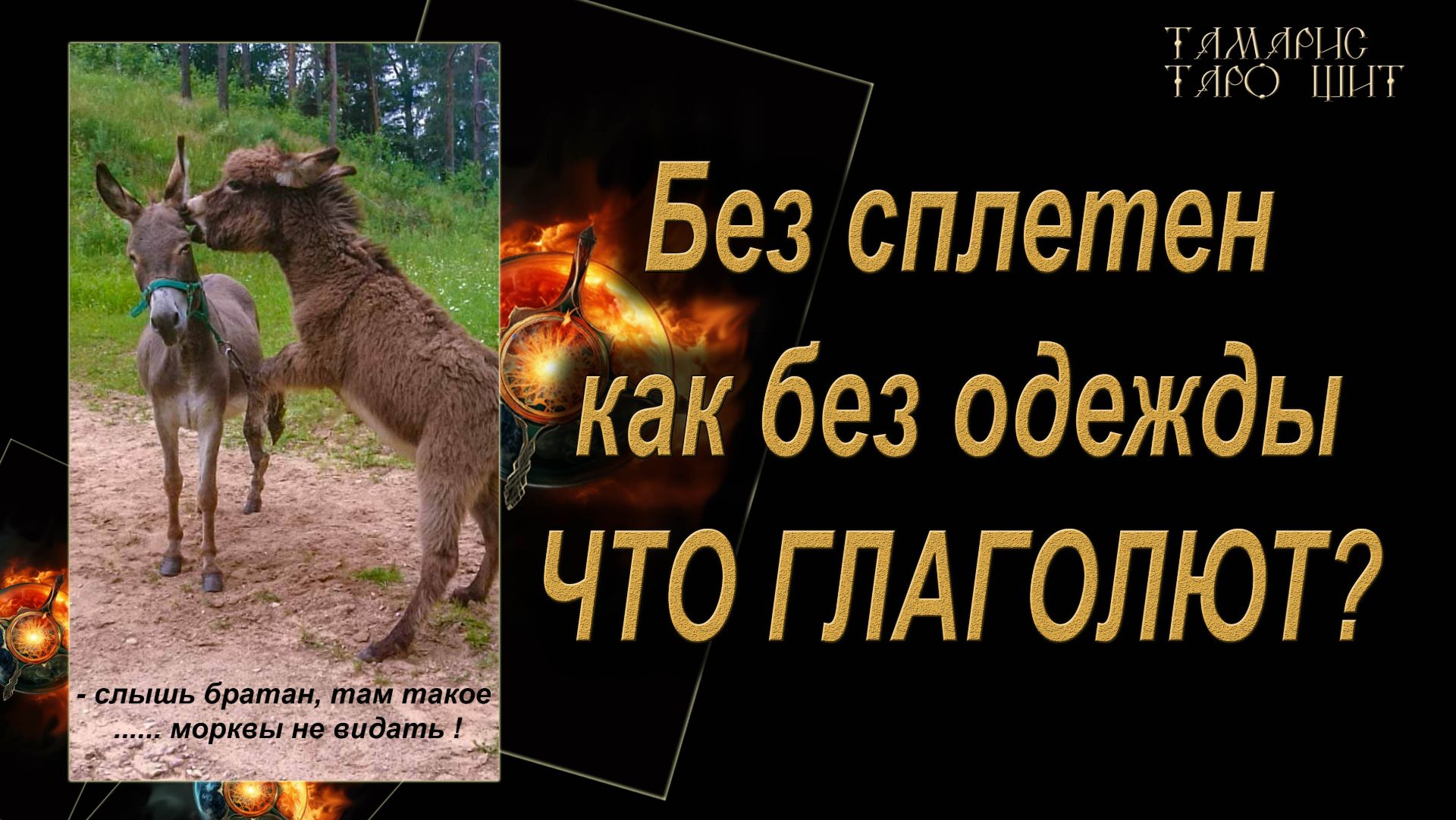 Что о вас сплетничают что глаголют🔥🔮 🔥 #гадания#расклады#таро#онлайн#gadanie#tarot777