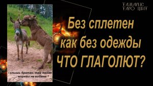 Что о вас сплетничают что глаголют🔥🔮 🔥 #гадания#расклады#таро#онлайн#gadanie#tarot777