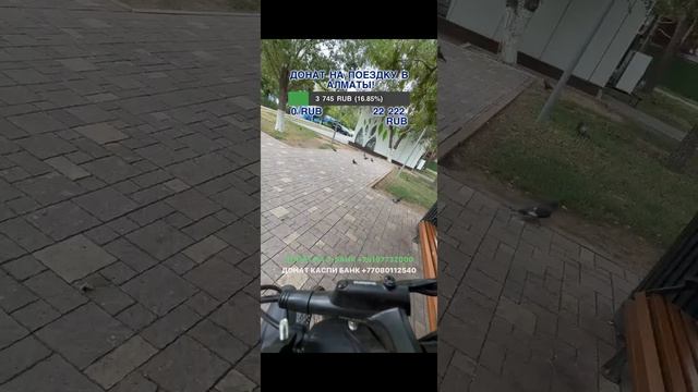 Гриша Полное ТВ собрался ехать в Алматы смотреть онлайн