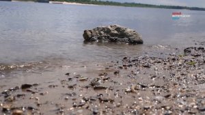 90 пожаров за неделю зарегистрировали в Волгоградской области