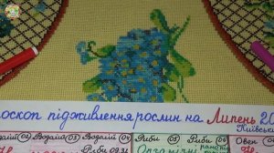 Как правильно подкармливать овощи в июле 2026 | Календарь Луны