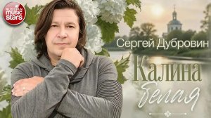 СЕРГЕЙ ДУБРОВИН ★ КАЛИНА БЕЛАЯ ★ НОВАЯ ПЕСНЯ 2026 ★