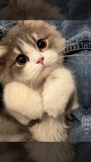 оииии🫣 смотреть онлайн