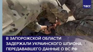 В Запорожской области задержали украинского шпиона, передававшего данные о ВС РФ