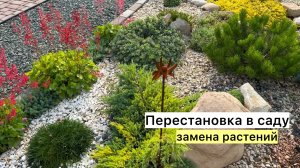 Рабочий ВЛОГ! Новые посадки и пересадки!