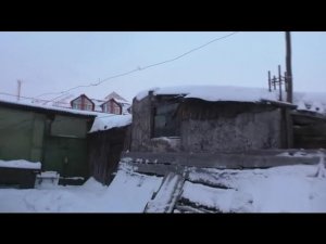 Голуби терялись. Найдена причина, пойман вор.