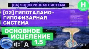 Гипоталамо-Гипофизарная Система ГЛУБОКОЕ Исцеление и Омоложение