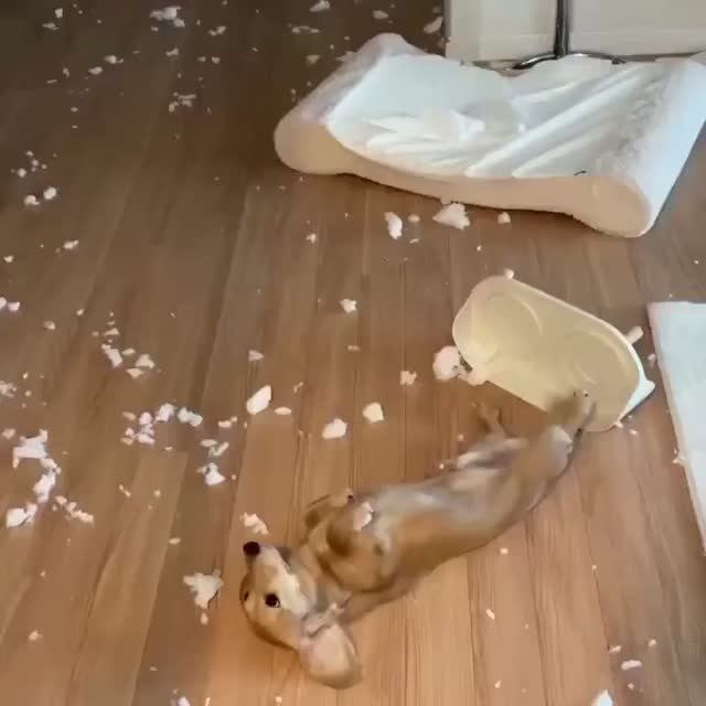 День прошел успешно
