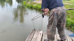 поимка карпов на песчаном берегу