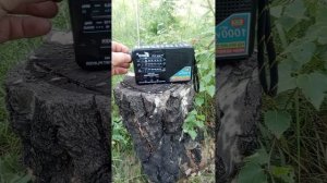 Пасека на взятке с лесного разнотравья